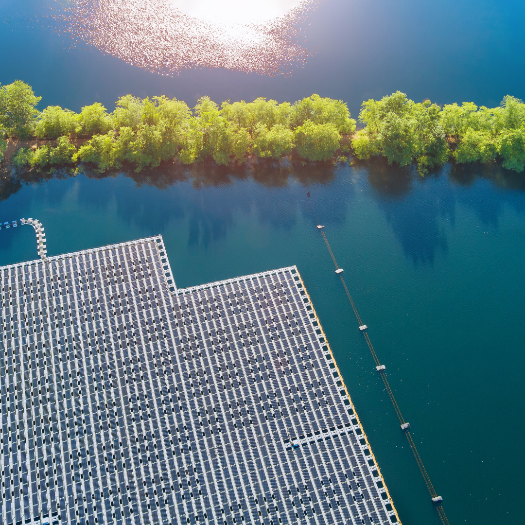 The Rise of Floating Solar Plants in India: Harnessing the Sun's Reflections 